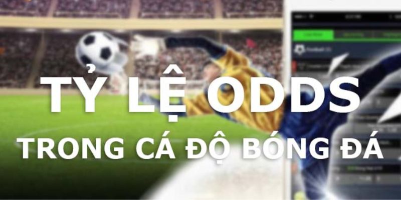 4 loại Odds được sử dụng nhiều nhất trong cá độ bóng đá